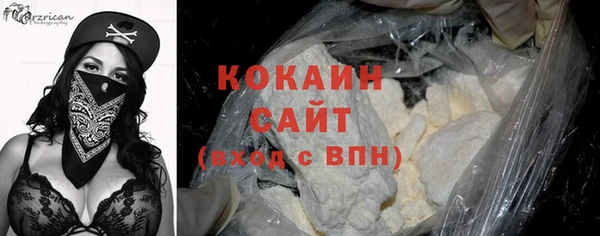 индика Абинск