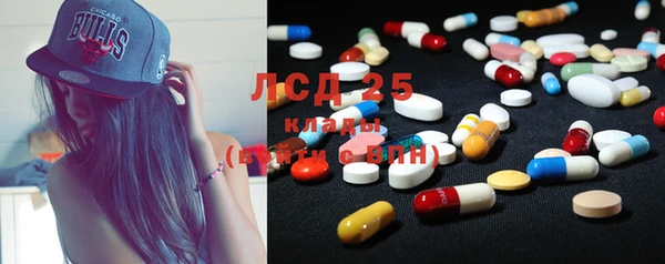 индика Абинск