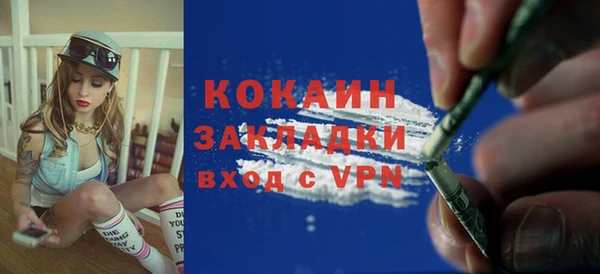 индика Абинск