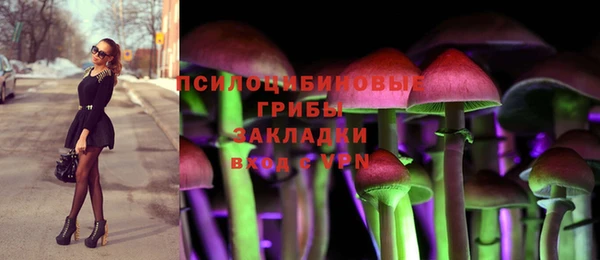 трава Абаза