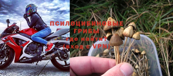 трава Абаза