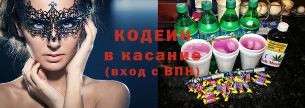 индика Абинск