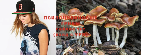 индика Абинск
