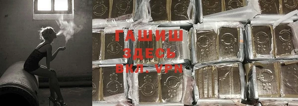 индика Абинск