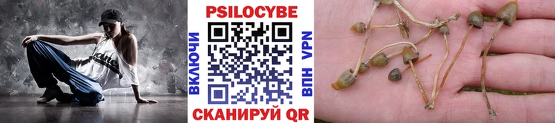 mega ONION  наркота  Сольцы  Псилоцибиновые грибы мухоморы 
